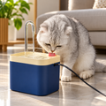 Quiet Filtered Cat Water Fountain